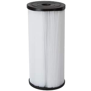 Whole Home 10 in. Heavy-Duty Carbon Replacement Water Filter Cartridge