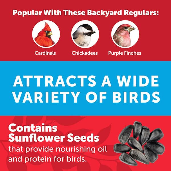 Premium Birder's Blend 6.5 lbs. Bird Seed Food Jug