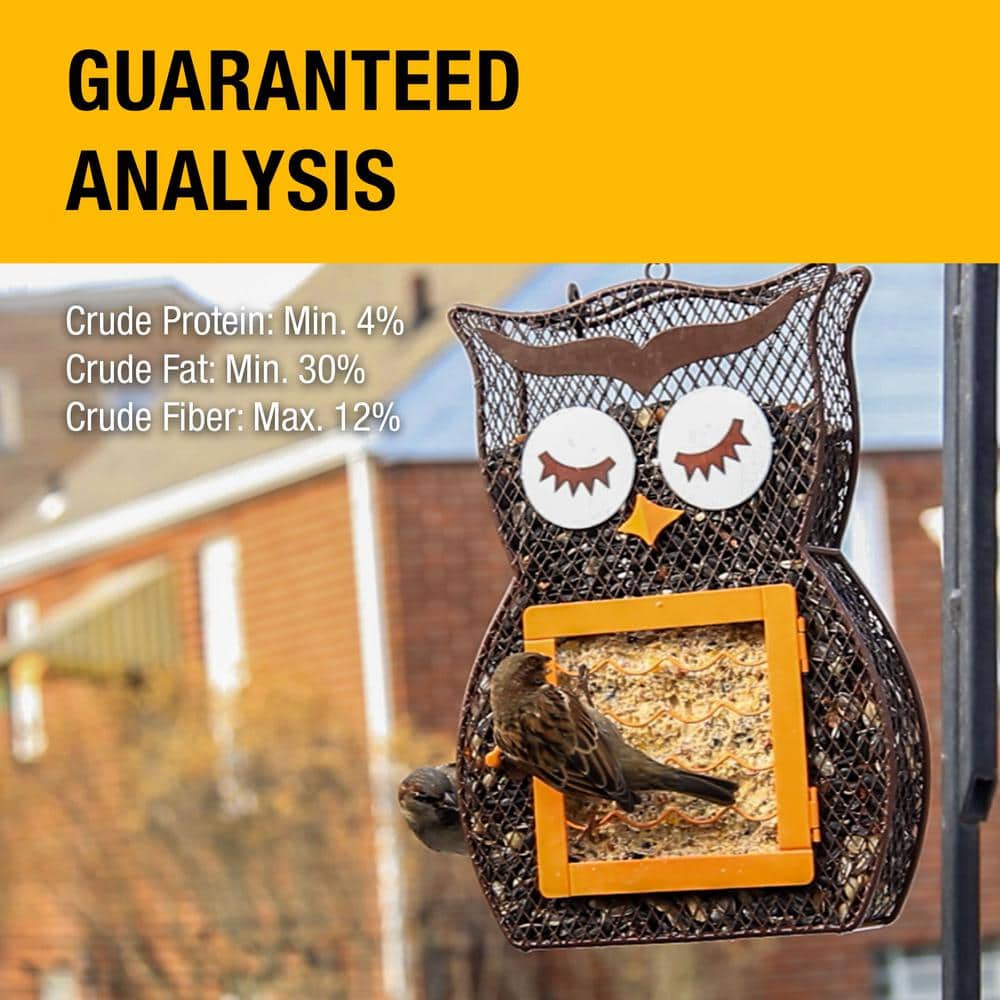Whimsical Owl Brown Metal Hanging Suet Cage with Hook