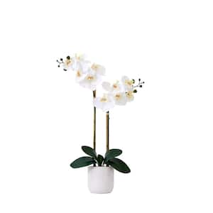 26 in. White Artificial Double Orchid Phalaenopsis Floral Arrangement with Decorative Vase (Real Touch)