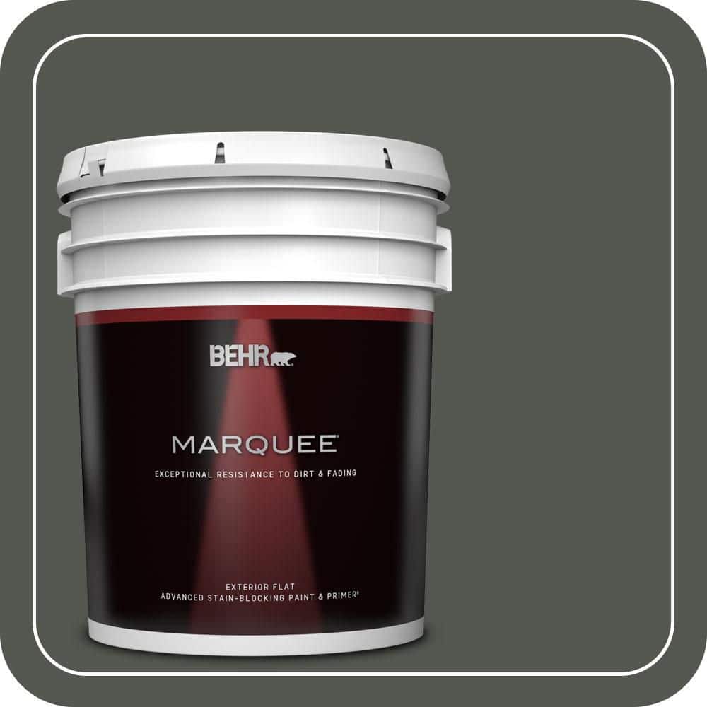 5 gal. #ECC-47-3 Twilight Forest Flat Exterior Paint & Primer price history on PriceWatchPro