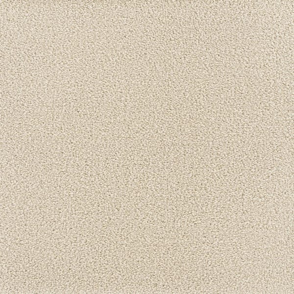 Home Decorators Collection Spicework I  - Bishop - Beige 40 oz. SD Polyester Texture Installed Carpet