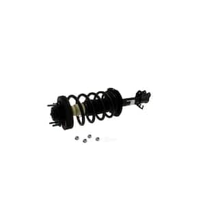 Suspension Strut and Coil Spring Assembly