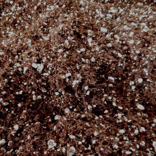 1.5 cu. ft. Green Hydroponics Fields Gardening Potting Soil