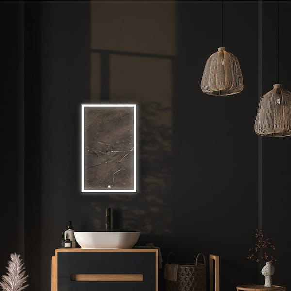 Edge Royale 20 in. W x 32 in. H Rectangular Silver Recessed/Surface Mount Medicine Cabinet with Mirror and LED Lighting