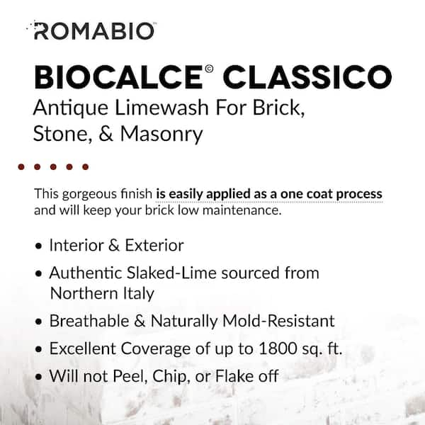 ROMABIO 1 qt. Bianco White Limewash Interior/Exterior Paint 10111 - The  Home Depot