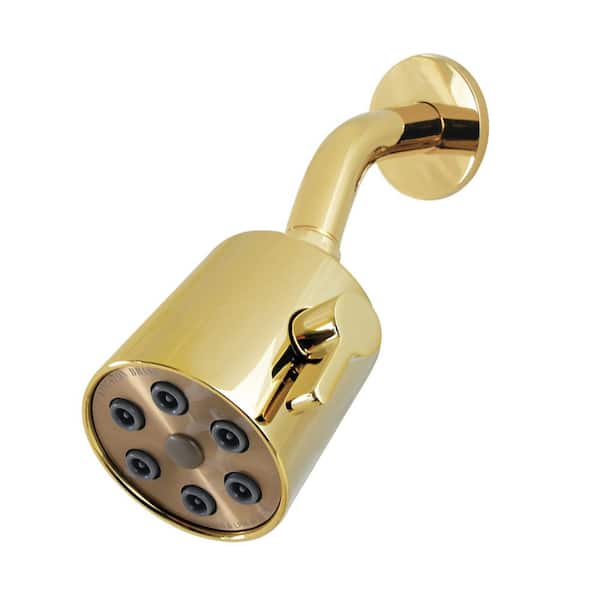 Shower Scape 2-Spray Pattern 2.81 in. Wall Mount Rain Fixed Shower Head in Polished Brass