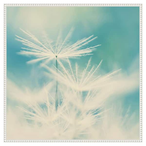Amanti Art Fluff by Ingrid Beddoes 30 in. W x 30 in. H. Canvas Wall Art Print Framed in White