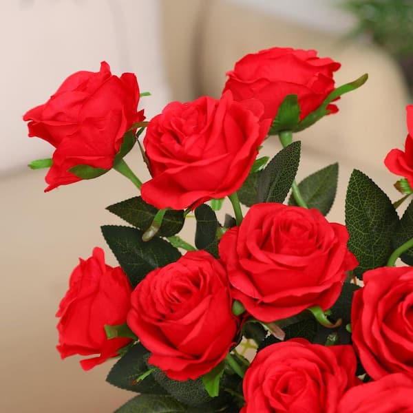 ブライスアウトフイット(roses) Sexy Rexy Floribunda Rose – Spring Hill Nurseries