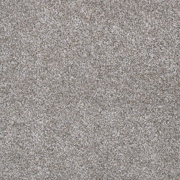 Lifeproof 8 in. x 8 in. Texture Carpet Sample - Hazelton II - Color Charm