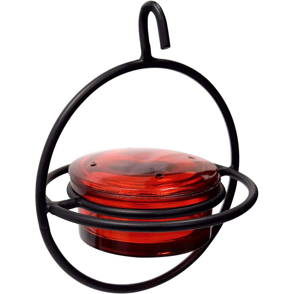 Circular Red Glass and Black Metal Hanging Hummingbird Feeder