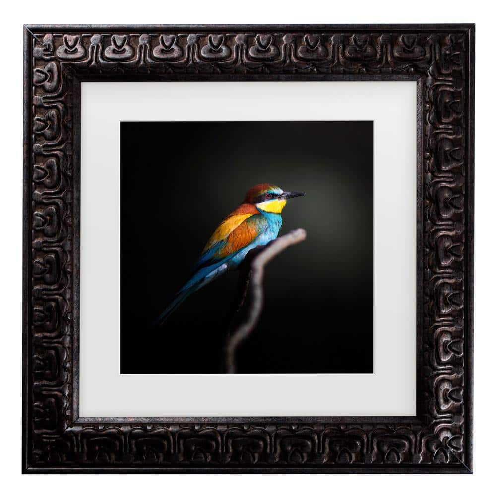 Fegari Colorful Darkly Matted Framed Photography Wall Art 19.5 in. x 19.5 in price history on PriceWatchPro