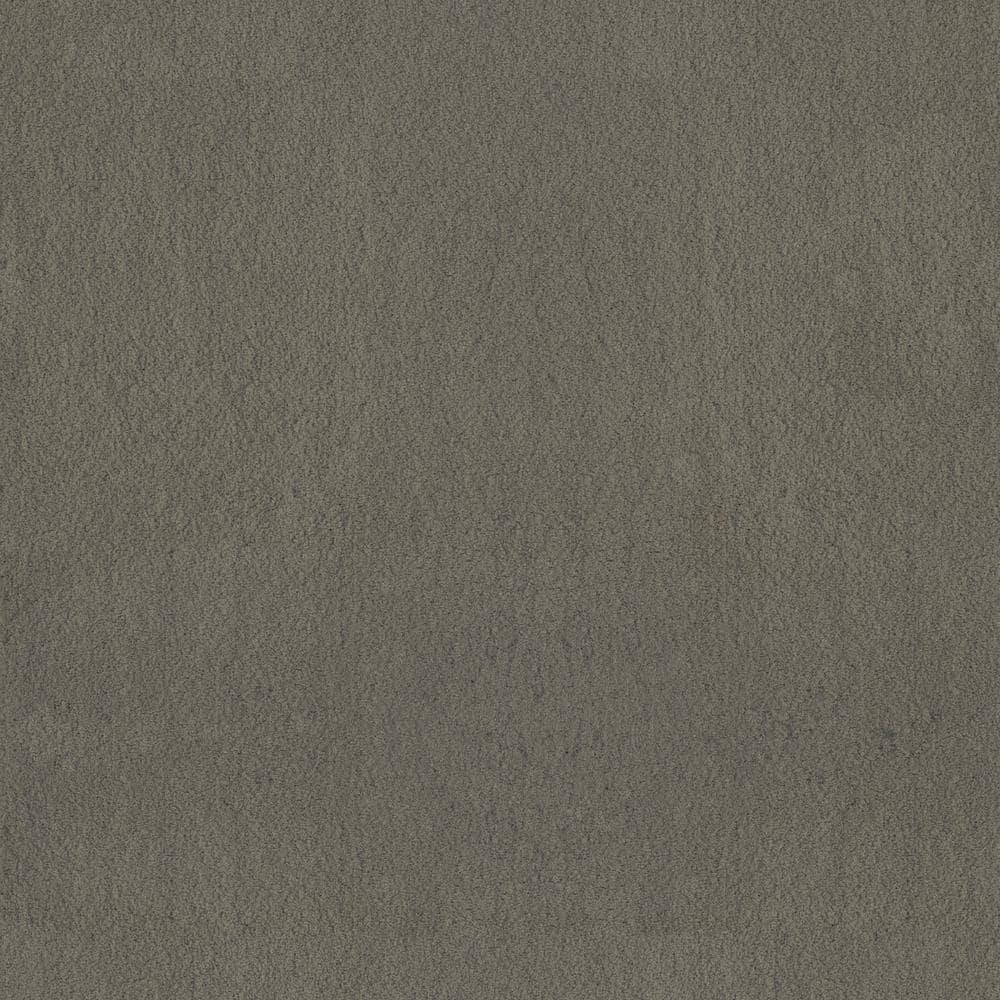 8 in. x 8 in. Texture Carpet Sample - Dreamy Daze I -Color Midori price history on PriceWatchPro