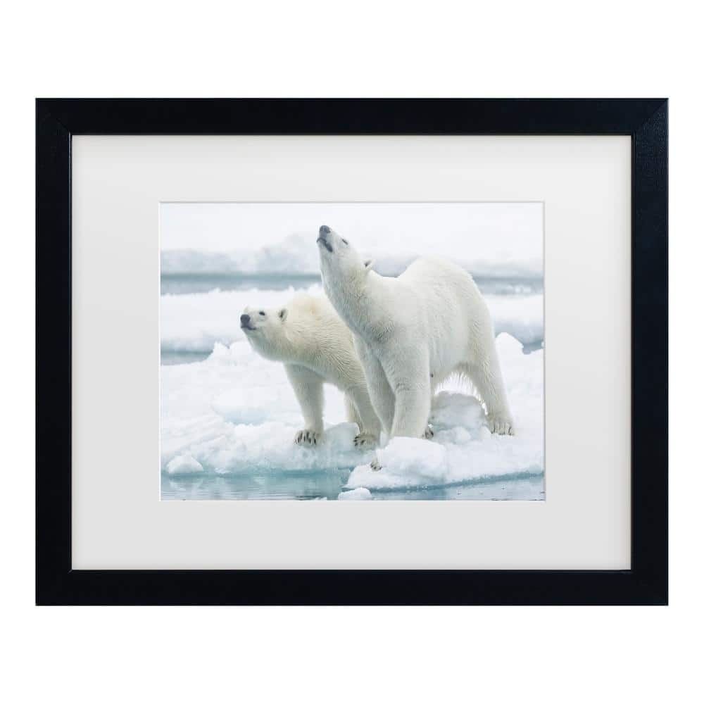 Joan Gil Raga Polar Bears, Mother and Son Matted Framed Photography Wall Art 18 in. x 22 in price history on PriceWatchPro