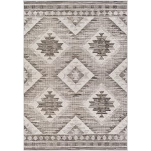 Evelina Charcoal 8 ft. x 10 ft. Indoor Area Rug