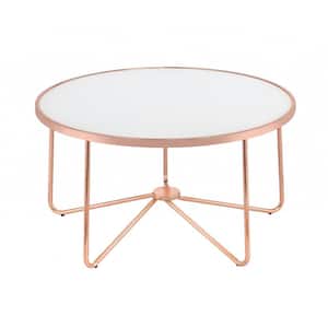 Amelia 34 in. Frosted Glass and Rose Gold 18 in. H Round Glass Coffee Table