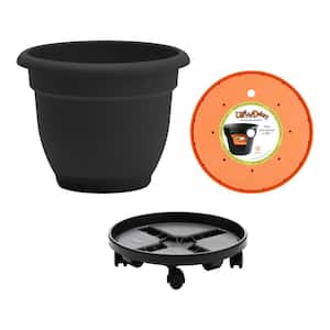 Black Resin Planter, Caddy, and Ups A Daisy Bundle