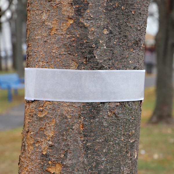 Tree Shield Insect Barrier 8 Roll Pack