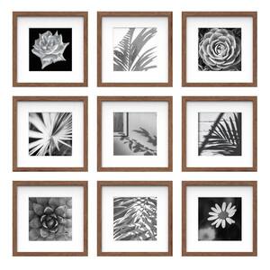 12 in. x 12 in. Matted to 8 in. x 8 in. Walnut Gallery Wall Picture Frame (Set of 9)