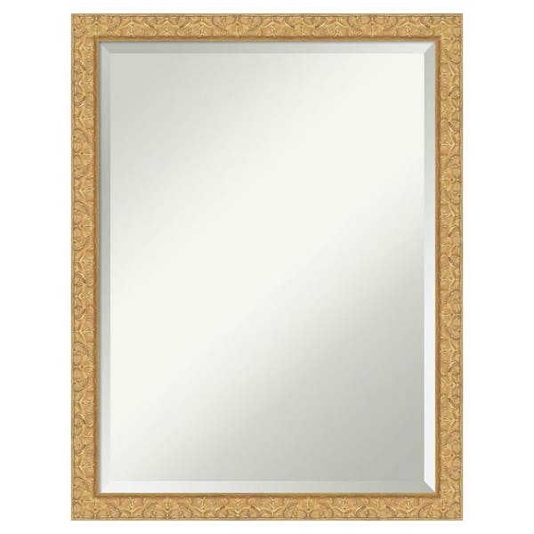 Amanti Art Lila Gold 20.5 in. x 26.5 in. Beveled Traditional