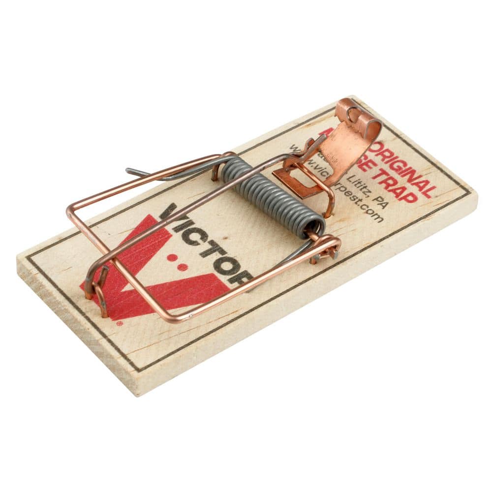 Metal Pedal Indoor and Outdoor Sustainably Sourced FSC Wood Snap Mouse Trap (2-Count, 2-Pack) price history on PriceWatchPro