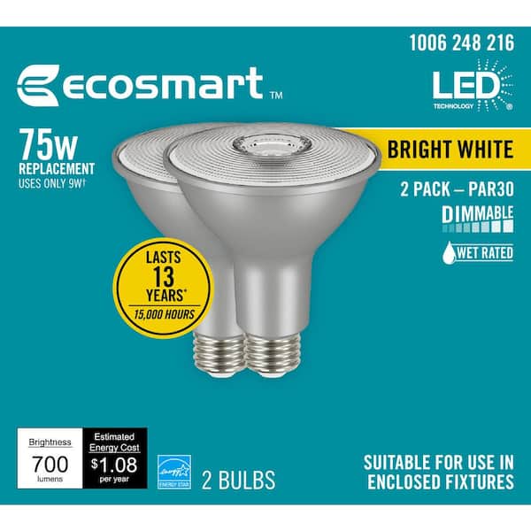 75-Watt Equivalent PAR30 Dimmable Flood LED Spot Light Bulb Bright White (2-Pack)