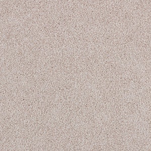 Playful Moments II Silhouette Beige 49 oz Triexta Texture Installed Carpet