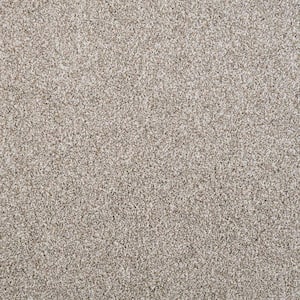 Barx I - Paper Moon - Beige 43  oz. Triexta Texture Beige Carpet
