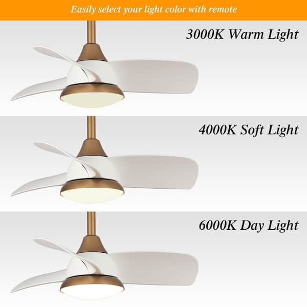 28 in. Brass Gold LED Ceiling Fan with Remote Control
