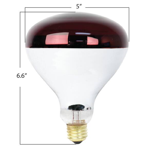 thumbnail image 2 of Westinghouse 250-Watt R40 Red Heat Lamp Flood Bulbs – Dimmable, 2-Pack 2 of 5