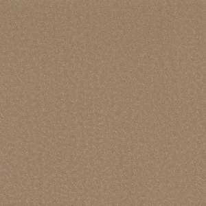 Adalida - Antique Beige - Brown 40 oz. SD Polyester Pattern Installed Carpet