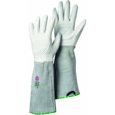 Garden Rose Size 6 X-Small Durable Goatskin Leather Gloves with Long Cowhide Cuff for Extra Protection in Off White