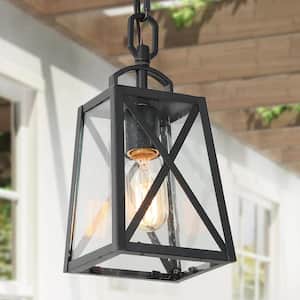 Black Outdoor Hanging Light Mini 1-Light Farmhouse Hanging Lantern Outdoor Pendant for Patio/Porch with Seedy Glass