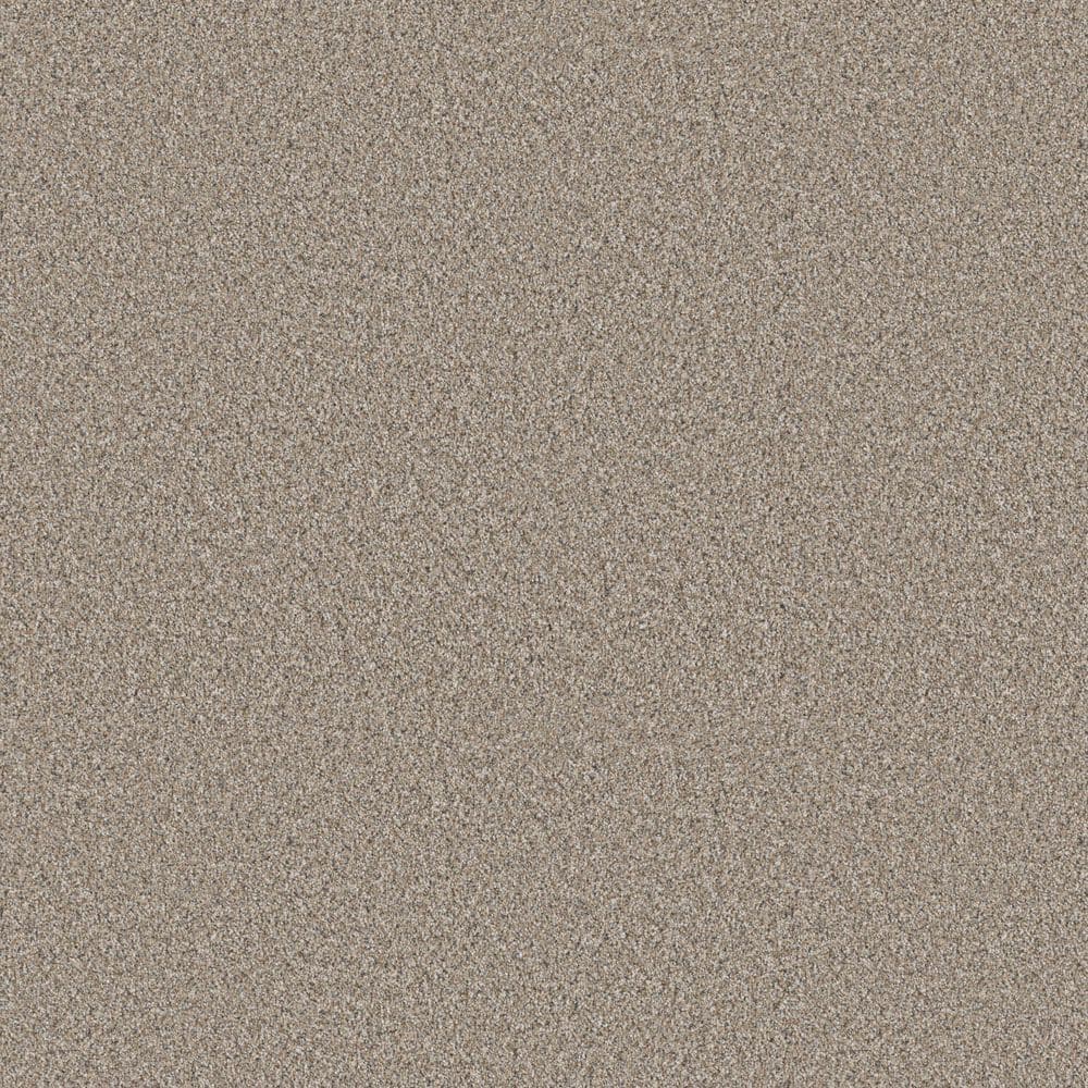 8 in. x 8 in. Texture Carpet Sample - Cuddle Cakes III - Color Angora price history on PriceWatchPro