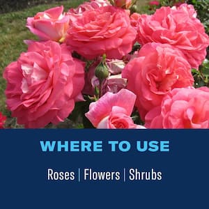 10 lbs. Ready-to-Use Granules 2-in-1 Systemic Rose and Flower