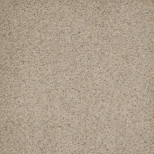 Bradmore I - Solar - Beige 45 oz. SD Polyester Texture Installed Carpet