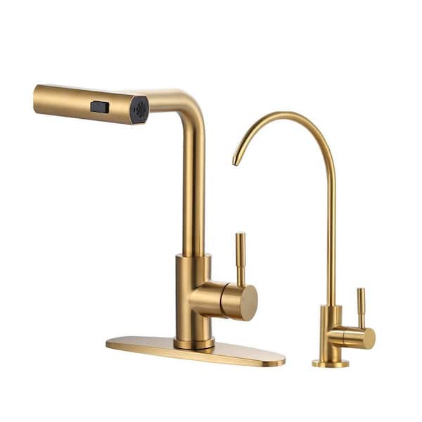 15.6 in. Single-Handle Pull-Out Sprayer Kitchen Faucet with 360° Rotary Filter Faucet in Brushed Gold