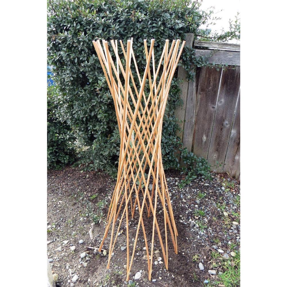 48" Tall Natural Willow Funnel Trellis for Climbing Vines
