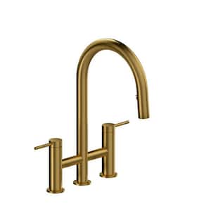 Azure Double Handle Pull Down Sprayer Kitchen Faucet with Gooseneck in Brushed Gold