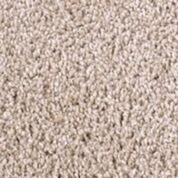 TrafficMaster 8 in. x 8 in. Texture Carpet Sample - Founder -Color Ruler