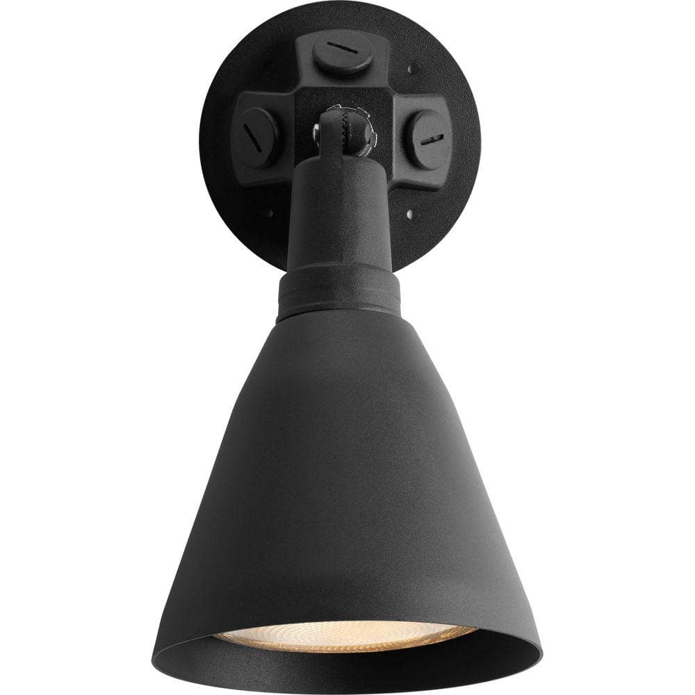 Wall Mount 1-Light 11.3 in. Outdoor Black Wall Lantern