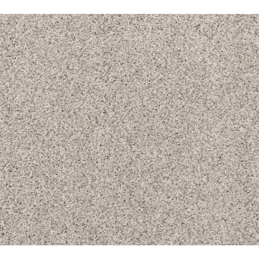 8 in. x 8 in. Texture Carpet Sample-Magalynn II-Color Grey Beam price history on PriceWatchPro