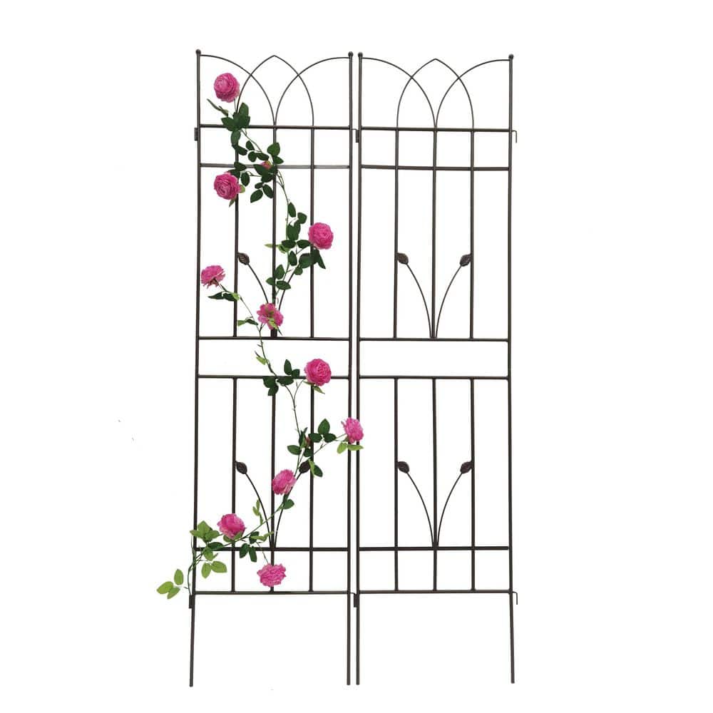 17.7 in. x 71 in. Metal Garden Rustproof Trellis for Climbing Plants, Brown (2-Pack) price history on PriceWatchPro
