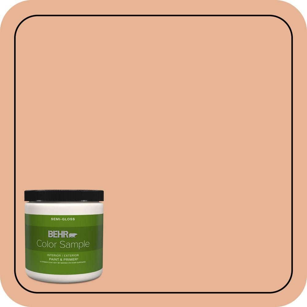 8 oz. #M210-4 Peach Shortcake Semi-Gloss Interior/Exterior Paint & Primer Color Sample price history on PriceWatchPro