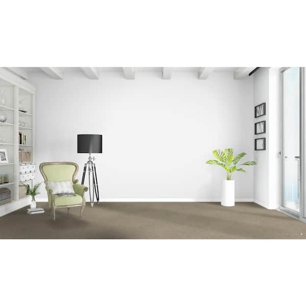 Moonlight  - Ray - Beige 32 oz. SD Polyester Texture Installed Carpet