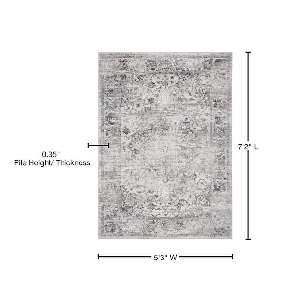 Austin Clark Grey 5 ft. 3 in. x 7 ft. 2 in. Area Rug