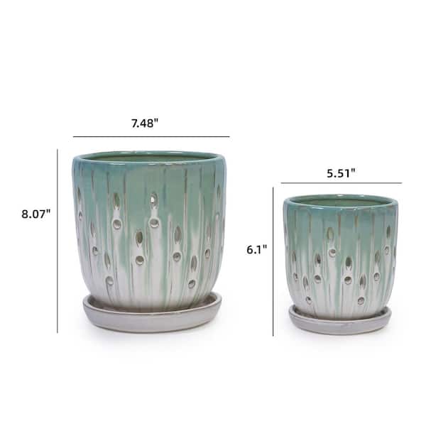 lucky bamboo Buy Lucky Bamboo Good Luck Plant Online – Best Price & Offers!