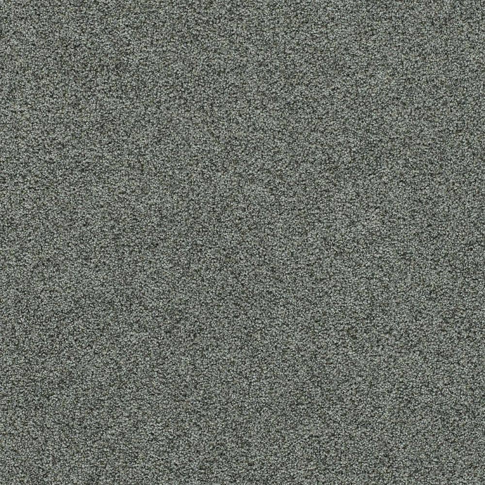 8 in. x 8 in. Texture Carpet Sample-Cinderella Soft I-Color Chiffon price history on PriceWatchPro