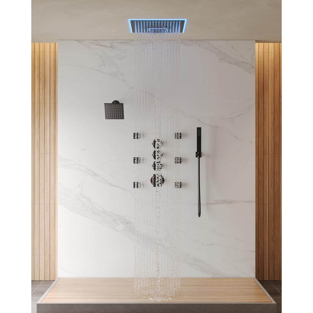EVERSTEIN 26-Spray 16in. Waterfall Dual Shower Heads Ceiling Mount ...