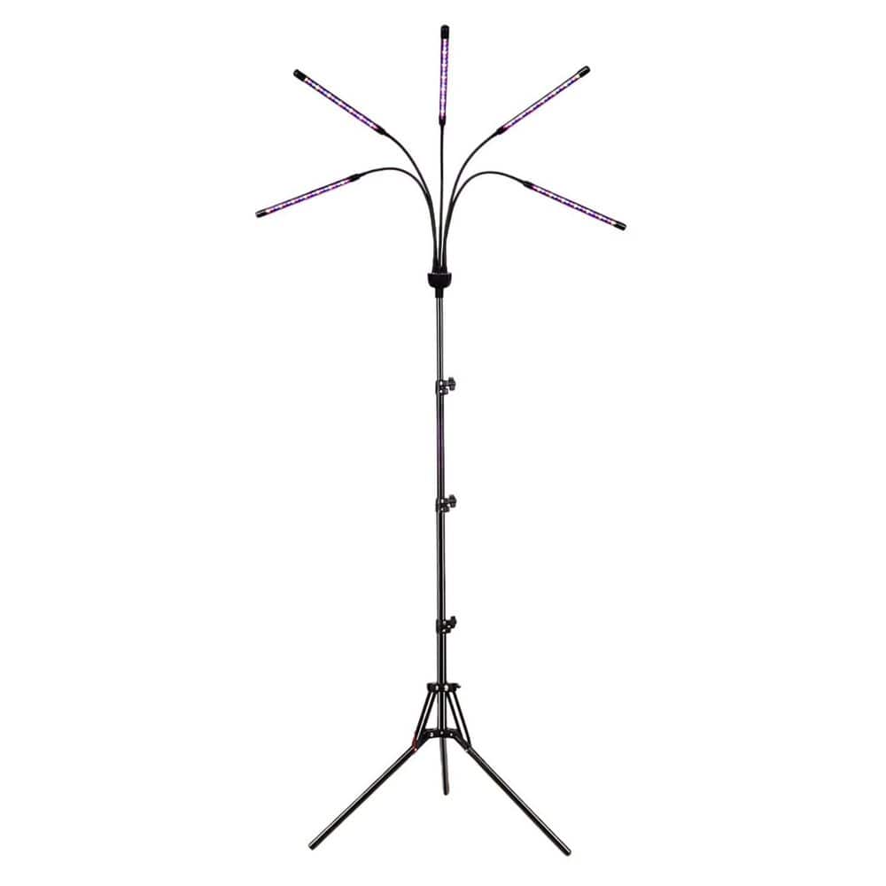 Grow Lights for Indoor Plants, 5-Head Full Spectrum Plant Light, Auto Timer, Remote Control for Indoor Plants price history on PriceWatchPro